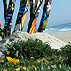 Swell 03